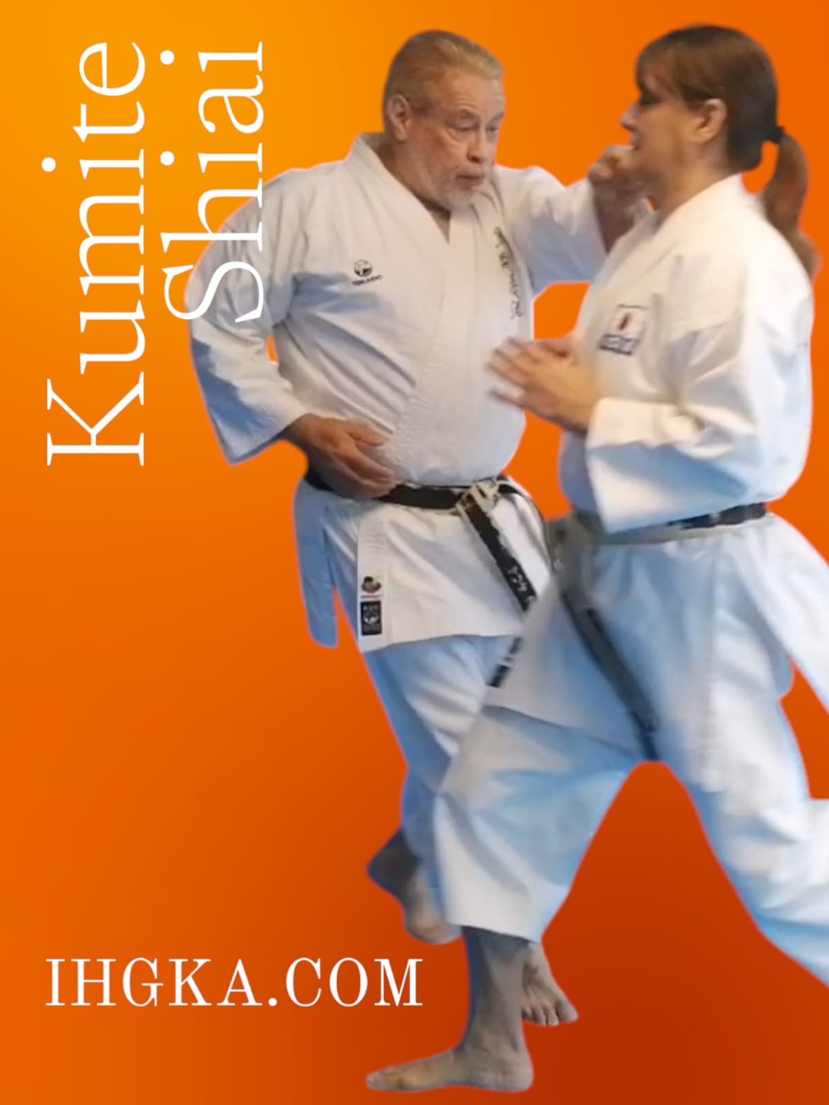 KUMITE_SEMINAR_1