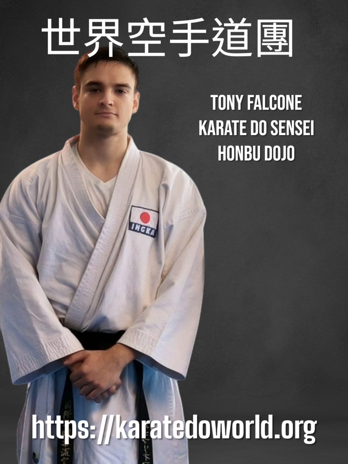 tony falcone